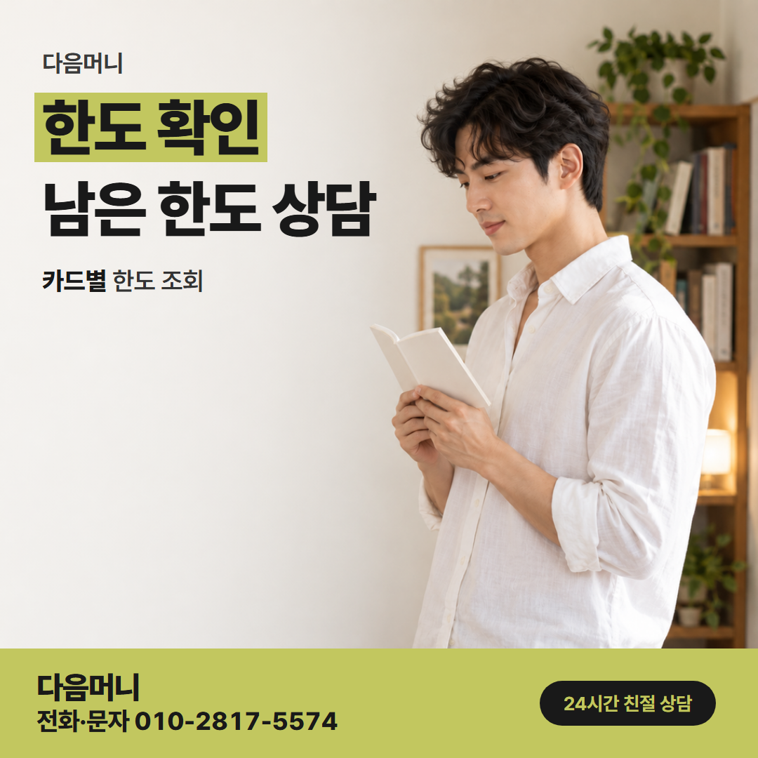 다음머니 제주카드깡 통화 전에 고객이 조회한 남은 한도